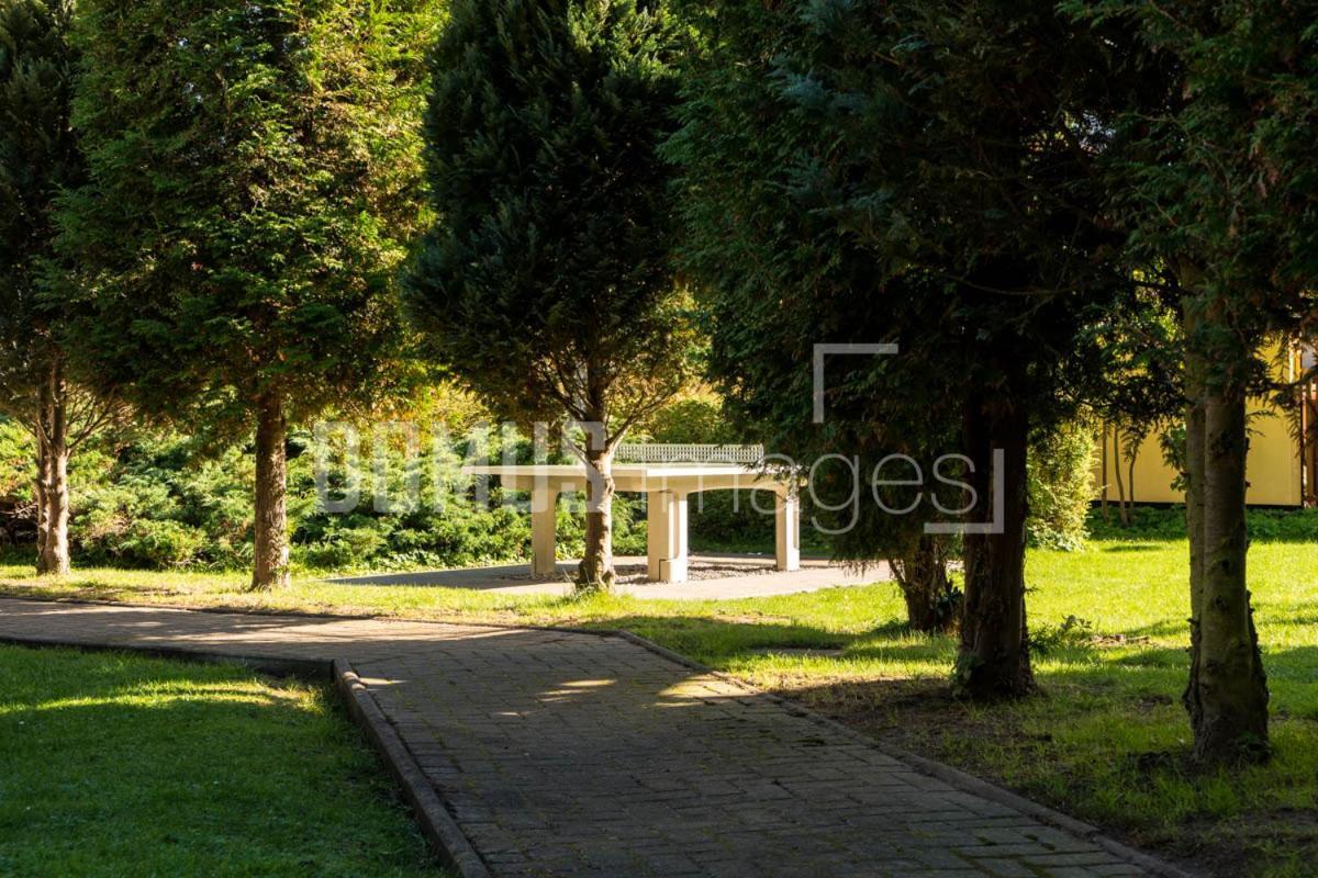 Ferienwohnung 3, Waldesruh オストゼーバート・ディアーハーゲン エクステリア 写真